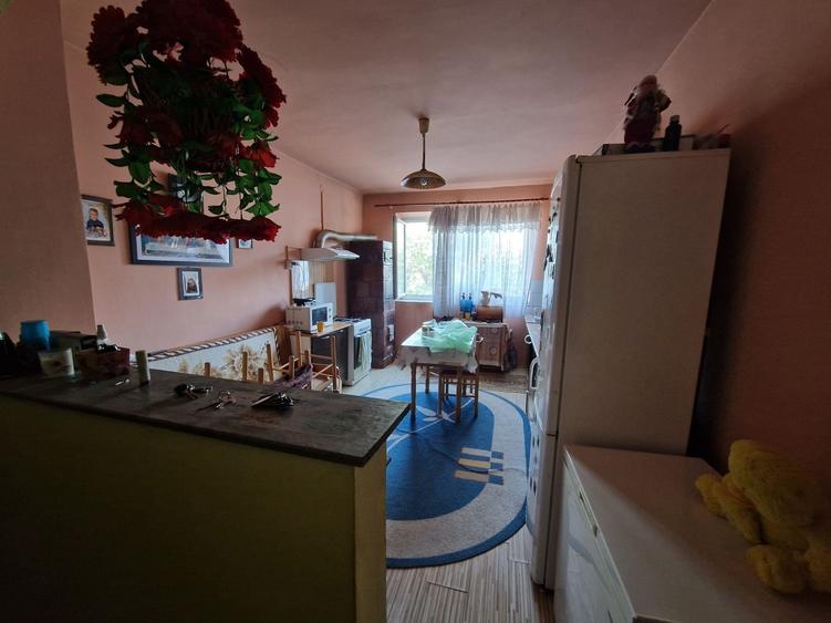 Apartament decomandat în Șandra