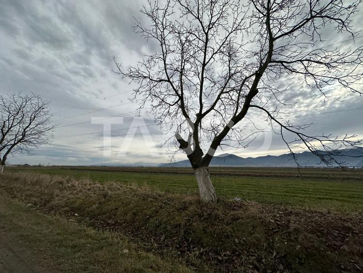 Teren agricol extravilan de 4991 mp, în Șura Mare
