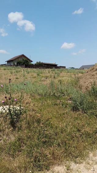 Teren Construcții extravilan de 2700 mp, în Nord