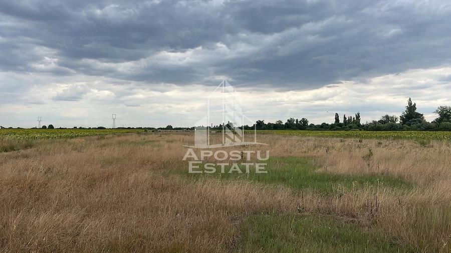 Teren de 1000 mp, în Sânmihaiu Român