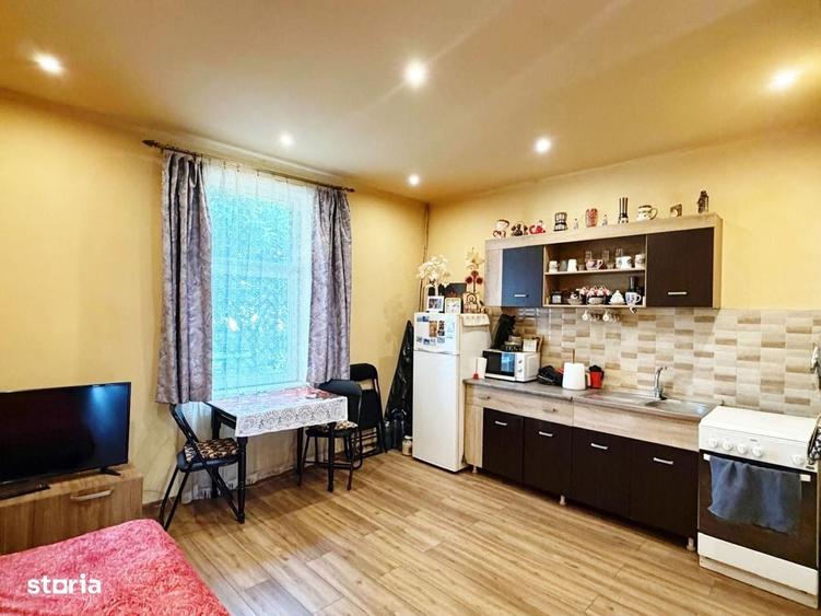 Apartament 1 camera la curte Iuliu Maniu - 5