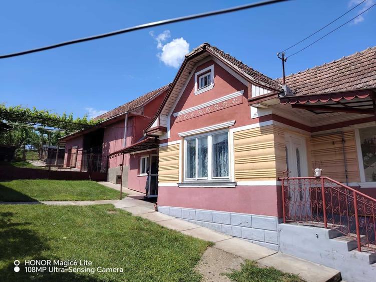Casă cu 2 camere în Viișoara