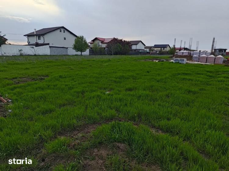 Teren intravilan Branesti - 3