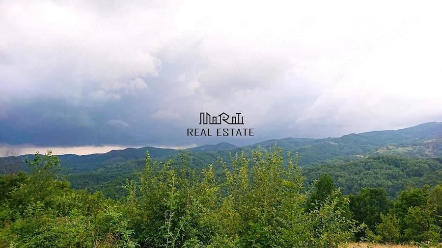 Teren de 4200 mp, în Bulzeștii de Sus