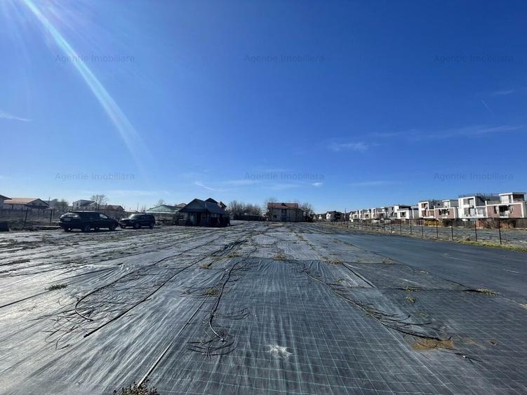 Teren Construcții intravilan de 4493 mp, în Mogoșoaia