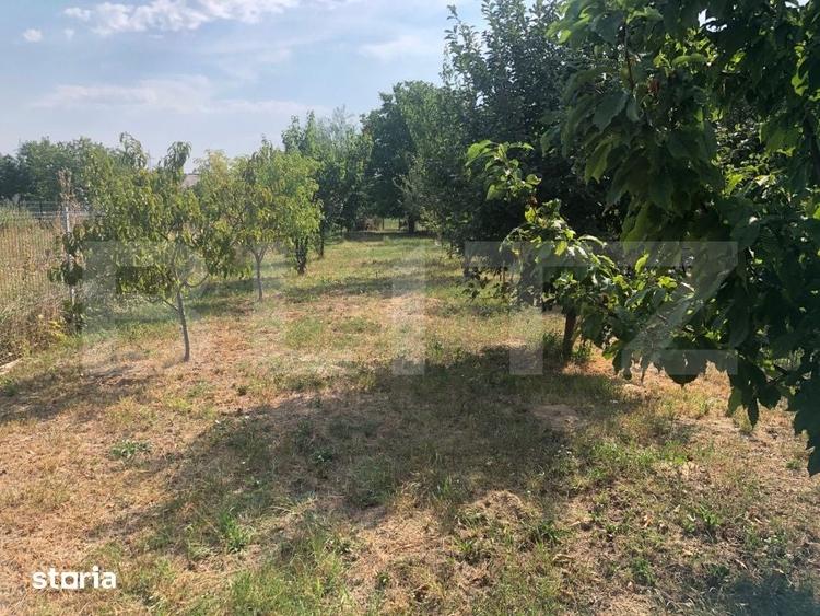 Teren de 1700 mp, în Sud