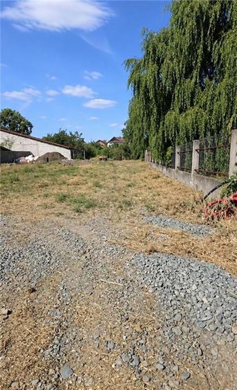Teren Construcții intravilan de 1036 mp, în Giarmata