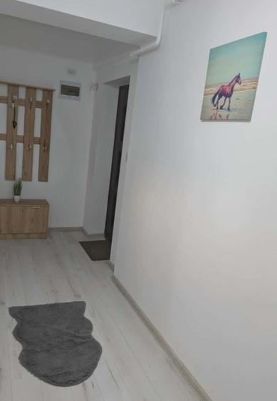Apartament cu 2 camere decomandat în Vișan