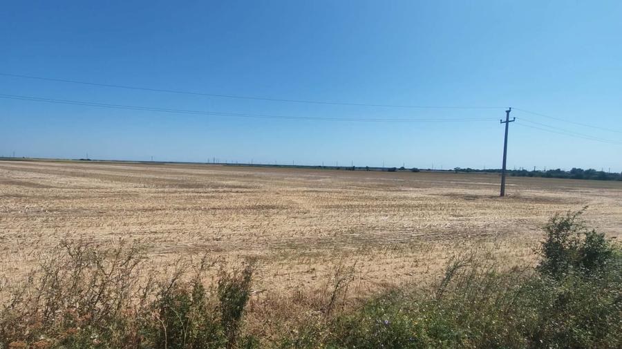 Teren agricol extravilan de 10104 mp, în Odobești