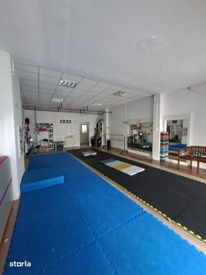 Spațiu comercial, de 320 mp, în Săsar