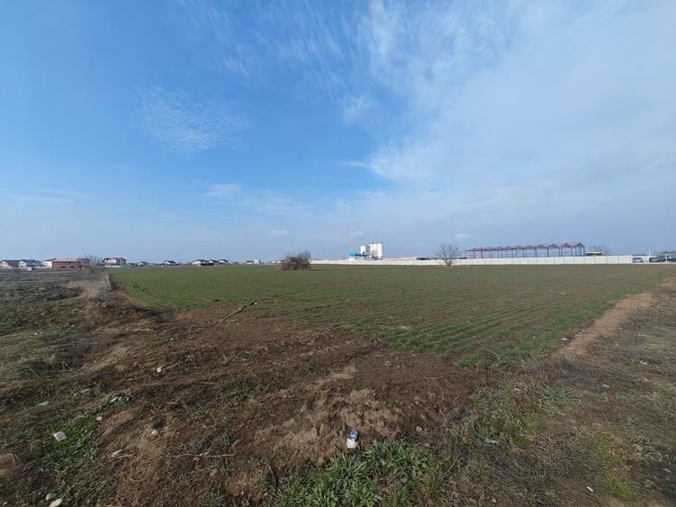 Teren Construcții intravilan de 15600 mp, în Dragomirești-Vale