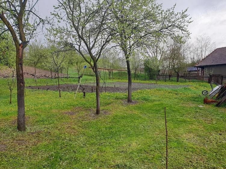 Casă cu 3 camere cu Teren 4400 Mp în Sânger
