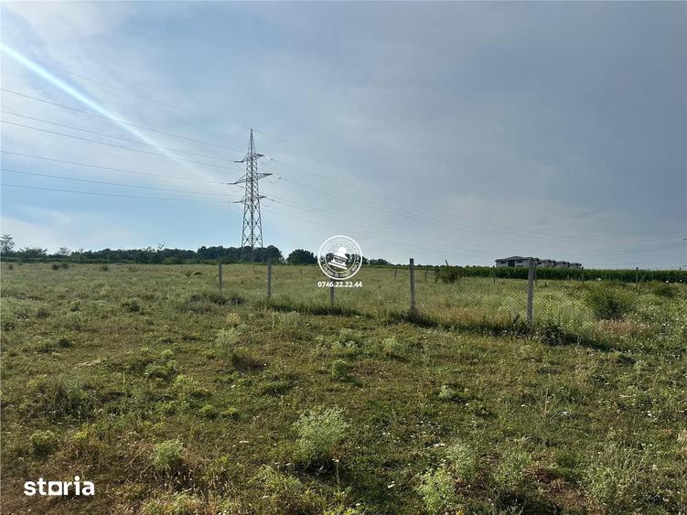 Teren de 633 mp, în Dumbrava