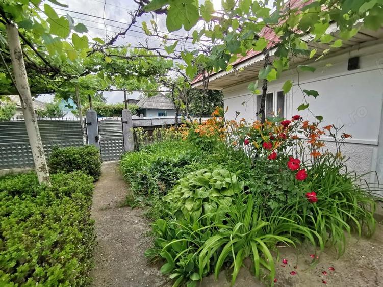 Casă cu 4 camere cu Teren 3250 Mp în Țibucani