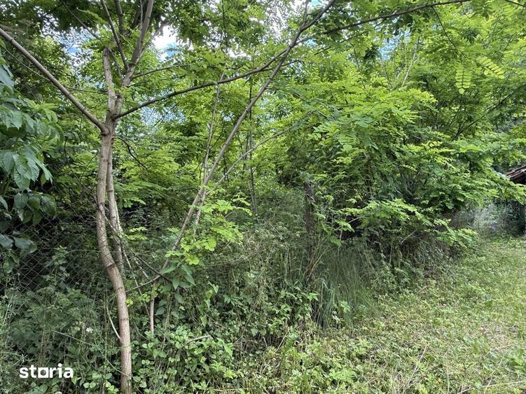 Teren de 683 mp, în Provița de Sus