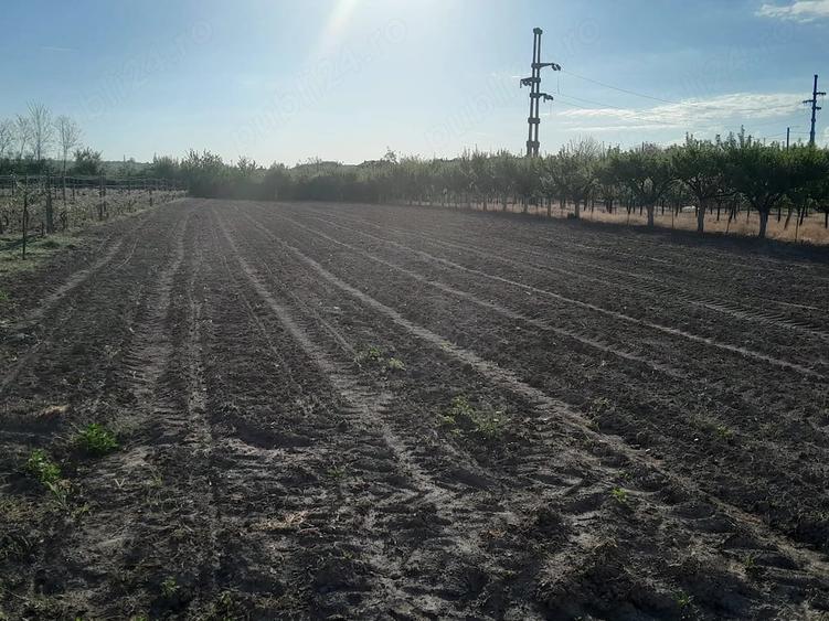 Casă cu 3 camere cu Teren 4000 Mp în Dejești