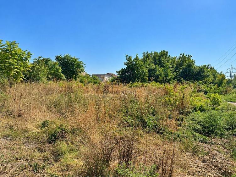 Teren Construcții intravilan de 3658 mp, în Berceni