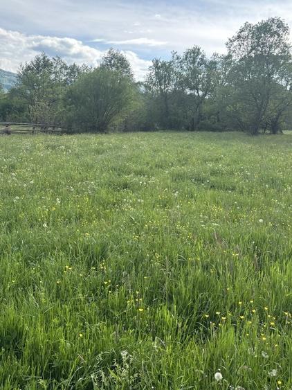 Teren de 8100 mp, în Șinca