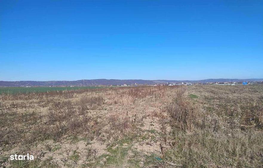 Teren de 10000 mp, în Oșorhei