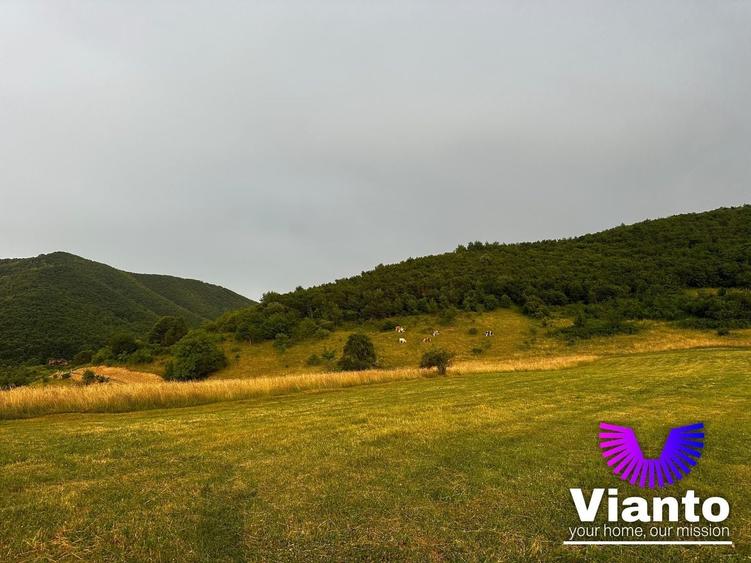 Teren agricol extravilan de 3408 mp, în Gura Râului