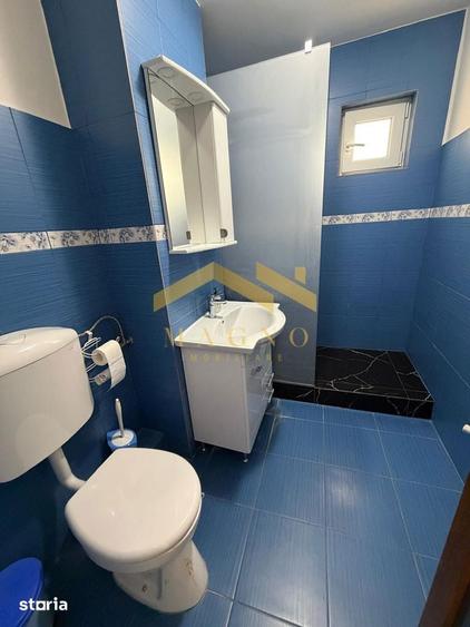 Apartament cu 2 camere de inchiriat in Micalaca 300/Malul Muresului - 8