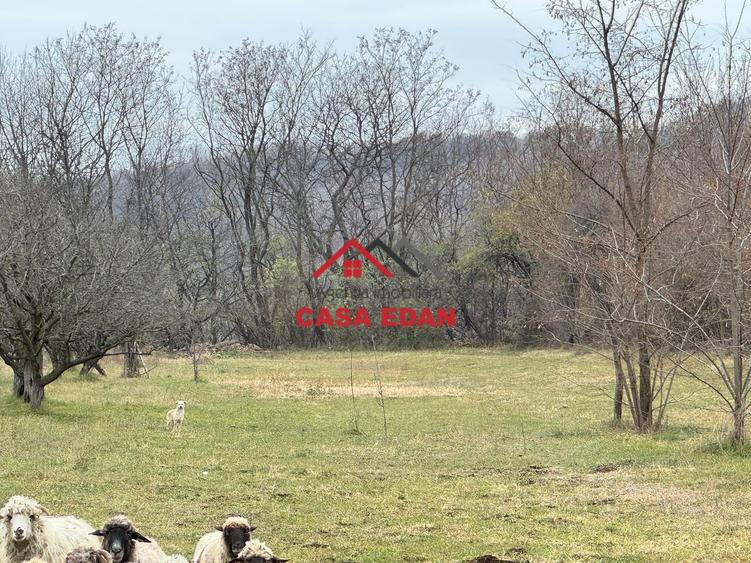 Teren Construcții intravilan de 2080 mp, în Brebu Mânăstirei