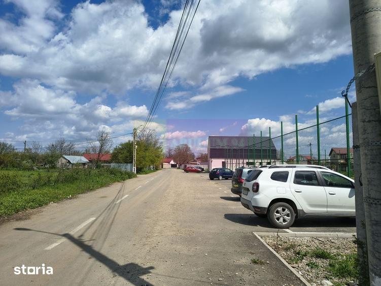 Teren de 12450 mp, în Cernica