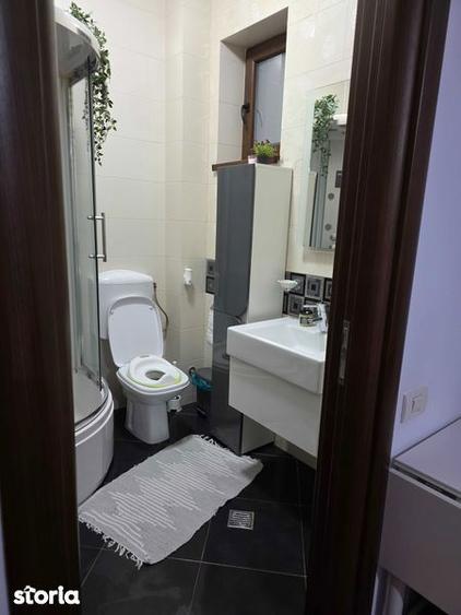 Apartament 3 camere cu curte si parcare proprie Parc Bazilescu - 8