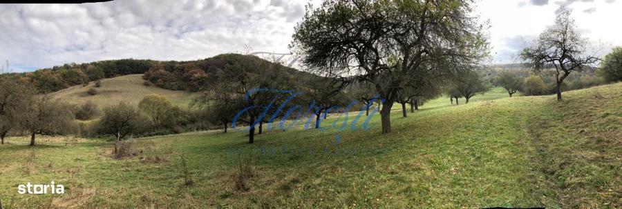 Teren de 14500 mp, în Florești