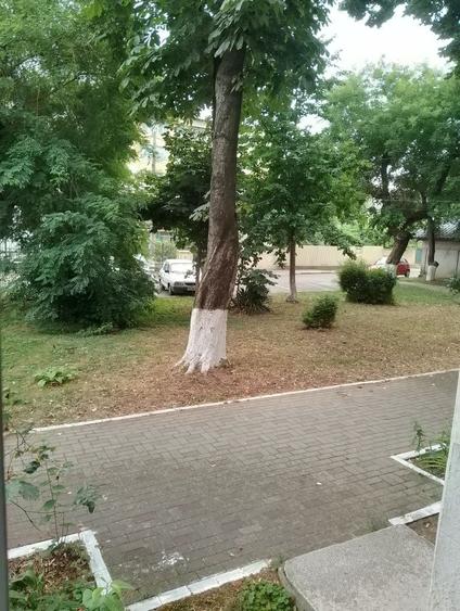 Apartament cu 2 camere semidecomandat în Ultracentral