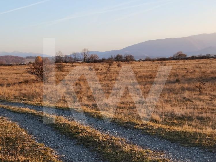 Teren agricol extravilan de 560 mp, în Cisnădie