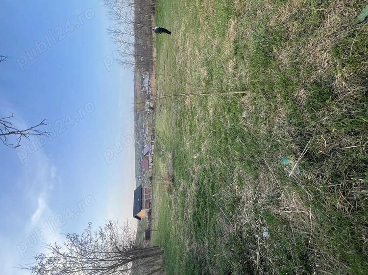 Teren de 1800 mp, în Vânători