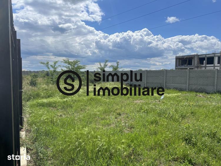 Teren Intravilan Damila - 40 000 Euro neg - 3