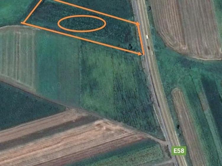 Teren Construcții intravilan de 4724 mp, în Șcheia
