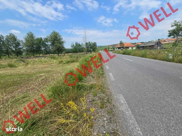 Spațiu comercial, în Barcani