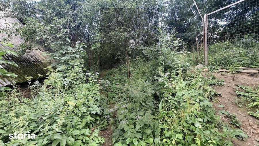 Casă cu 2 camere cu Teren 4000 Mp în Iara