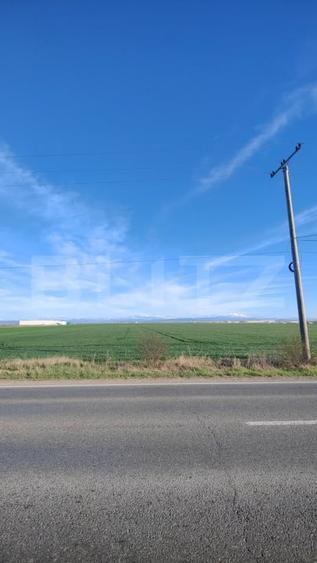 Teren agricol extravilan de 59000 mp, în Ariceștii Rahtivani