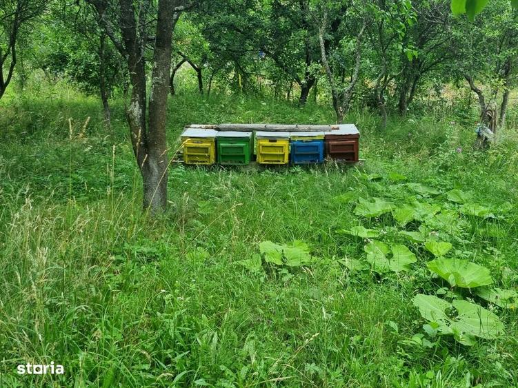 Casă cu 2 camere în Hobița
