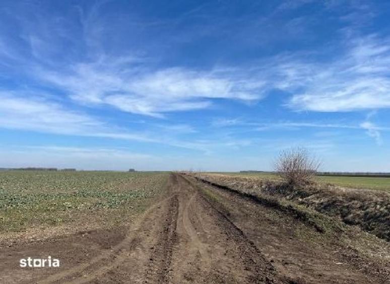 Teren de 5000 mp, în Dor Mărunt