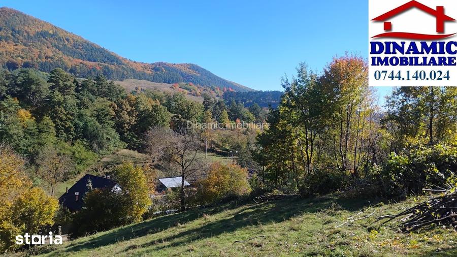 3600 mp teren intravilan, sat Bistrita, 14 Euro/mp