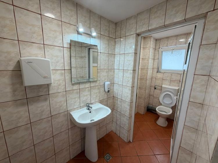 Casă individuală cu 13 camere cu Canalizare în Banu Manta