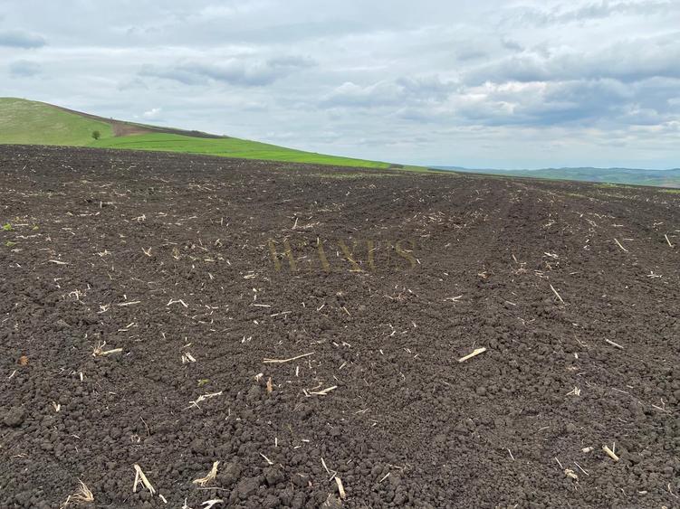 Teren agricol extravilan de 10200 mp, în Țagu