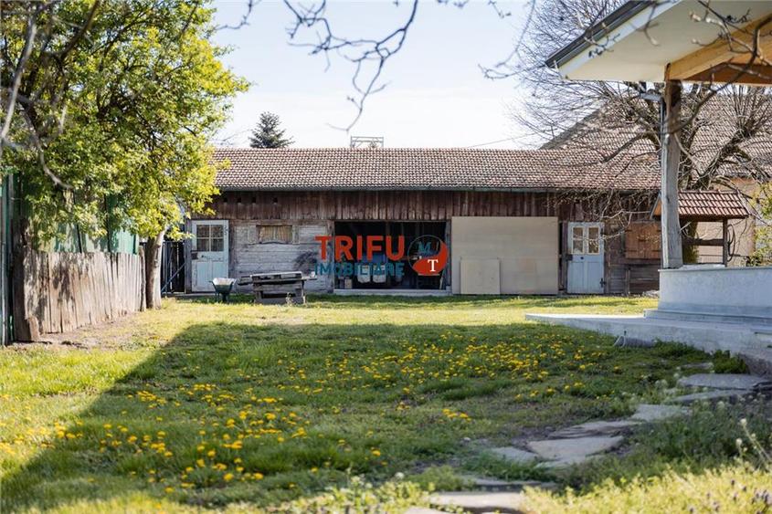 Teren Construcții intravilan de 11771 mp, în Vințu de Jos