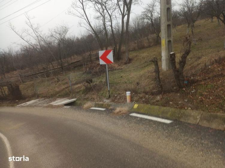 Teren de 3100 mp, în Berislăvești