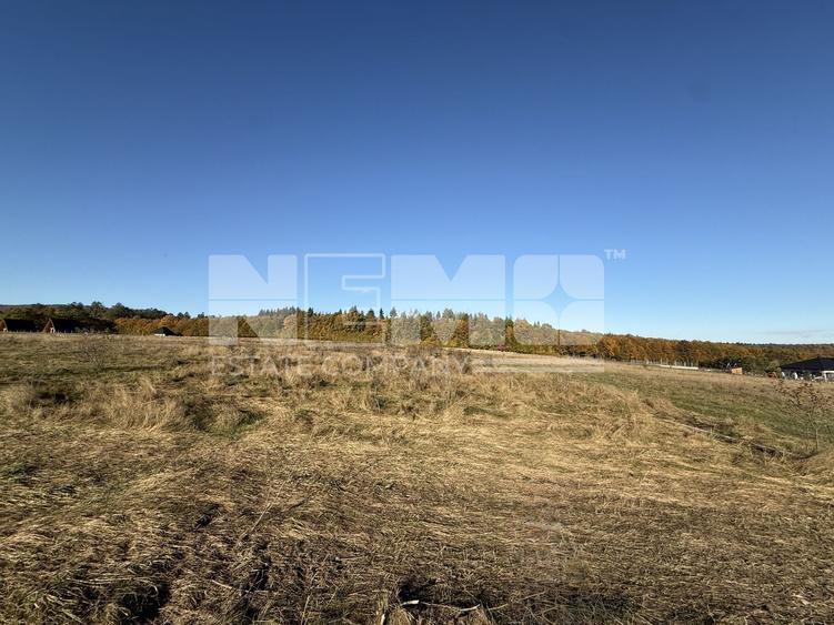 Teren agricol intravilan de 2900 mp, în Horodnic de Sus