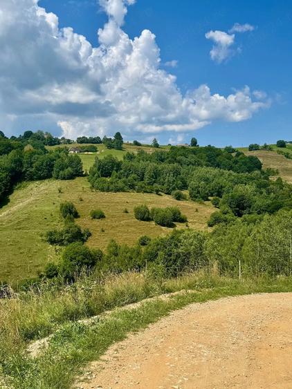 Teren de 12920 mp, în Poiana Mărului