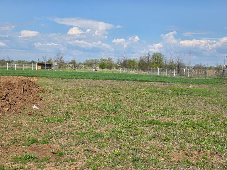 Teren Construcții intravilan de 1080 mp, în Ciolpani