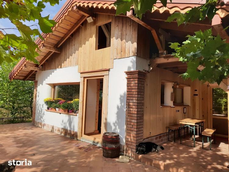 Casa noua cu 6500mp teren si anexe la Hudum - 4
