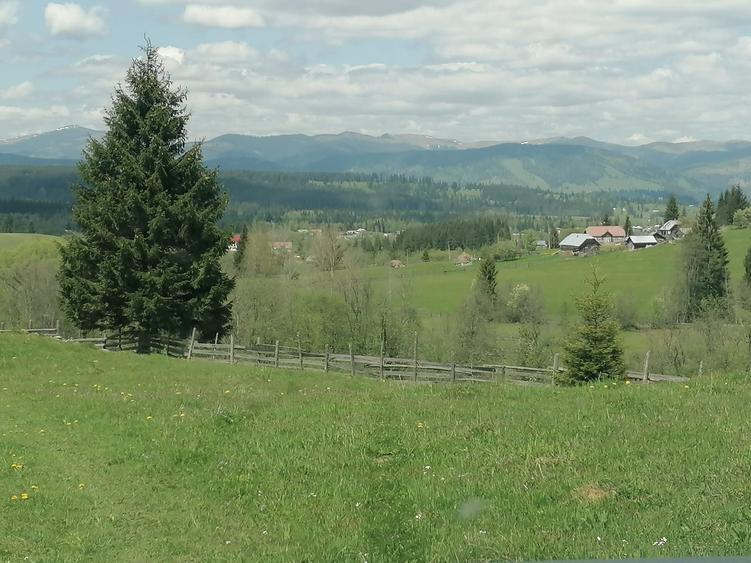 Teren de 45000 mp, în Ortoaia