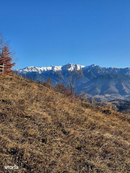 Magura/Brasov, teren generos, pretabil investitie cabane/pensiune/casa - 21